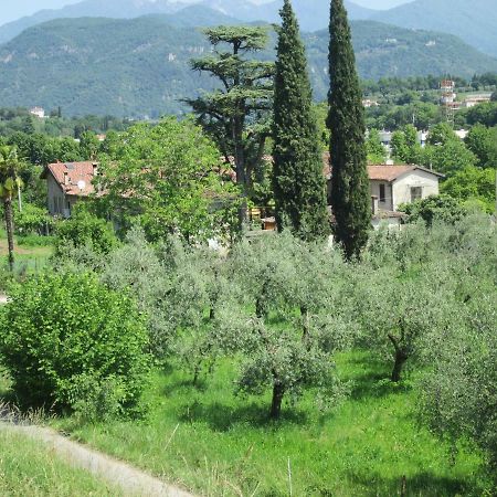 Agriturismo Bonù Gabriele Salò Esterno foto