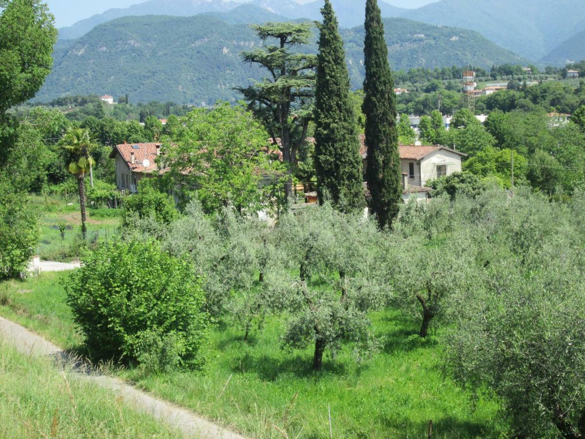 Agriturismo Bonù Gabriele Salò Esterno foto
